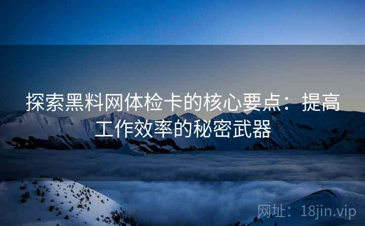 探索黑料网体检卡的核心要点：提高工作效率的秘密武器