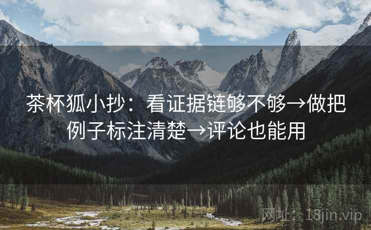 茶杯狐小抄:看证据链够不够→做把例子标注清楚→评论也能用 茶杯狐小抄:看证据链够不够→做把例子标注清楚→评论也能用