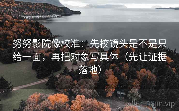 努努影院像校准：先校镜头是不是只给一面，再把对象写具体（先让证据落地）
